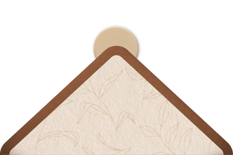 Flap atrás
